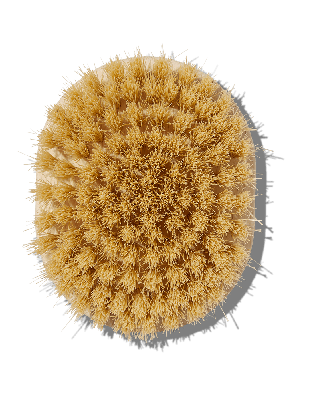 Joanna Czech Dry Massage Body Brush