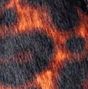 Leopard Print Calf Hair Leather