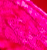 Lampone Suede