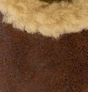 Cocoa