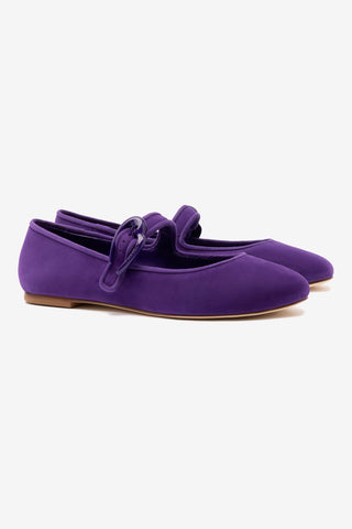 Verona Ballet Flat In Eggplant Suede