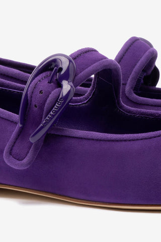 Verona Ballet Flat In Eggplant Suede