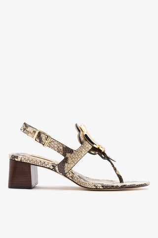 Margherita Block Thong Sandal Snake Leather Sandal Larroudé