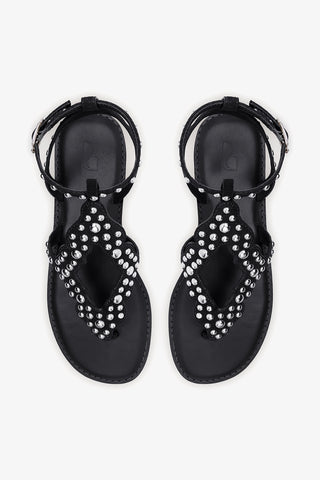 Fiorella Sandal In Black Suede