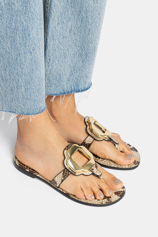 Margherita Thong Sandal In Neutral Snake