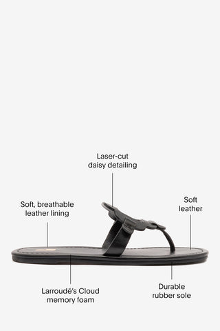 Margherita Thong Sandal In Black Leather
