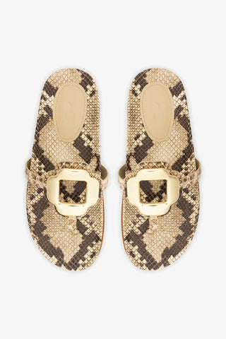 Margherita Sport Sandal Snake Leather Flat - Sandal Larroudé
