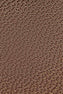 Burnt Umber
