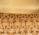 Gold Metallic Leather and Natural Raffia