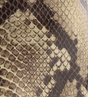  Snake Printed Neutral